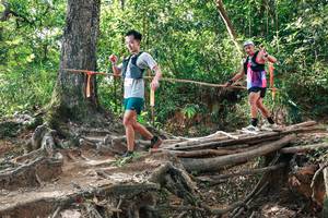 BIB: 
                            <button type="button" onclick="openModal(27556589)" class="btn btn-primary btn-sm float-right btn-popup" data-toggle="modal" data-target=".modal-high-quality">
                        <i class="fas fa-shopping-cart"></i> Add to Cart
                    </button>
                                            <button type="button" onclick="isThisMe(27556589, true)" class="btn btn-success btn-sm float-right btn-popup btn-isme hidden" data-toggle="tooltip" data-placement="bottom" title="นี่คือรูปของคุณใช่ไหม คลิกที่นี่เพื่อเอาเข้าอัลบั้ม">
                        <i class="fas fa-plus"></i> Add to album
                    </button>
                    <button type="button" onclick="isThisMe(27556589, false)" class="btn btn-warning btn-sm float-right btn-popup btn-isnotme hidden">
                        <i class="fas fa-ban"></i> Remove from album
                    </button>